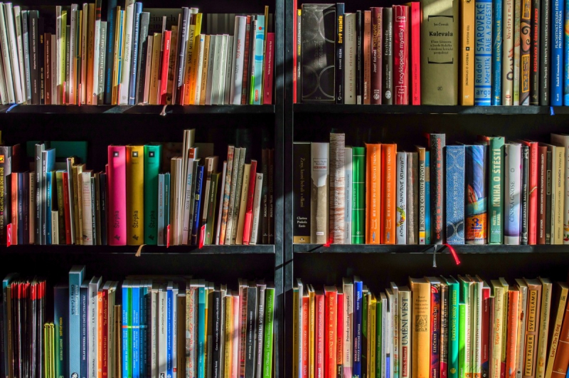 magasin-LE BROC-min_books_bookstore_book_reading_shop_writer_sale_books_read-822866